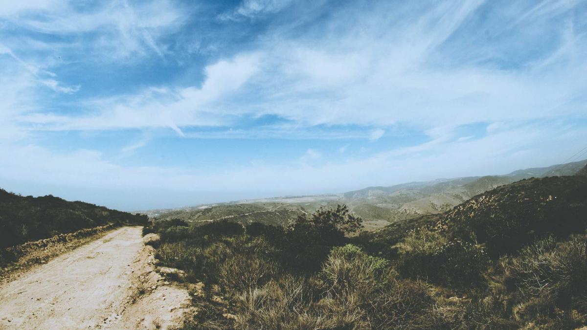 Illustration zu Matt Bellamy Trennung