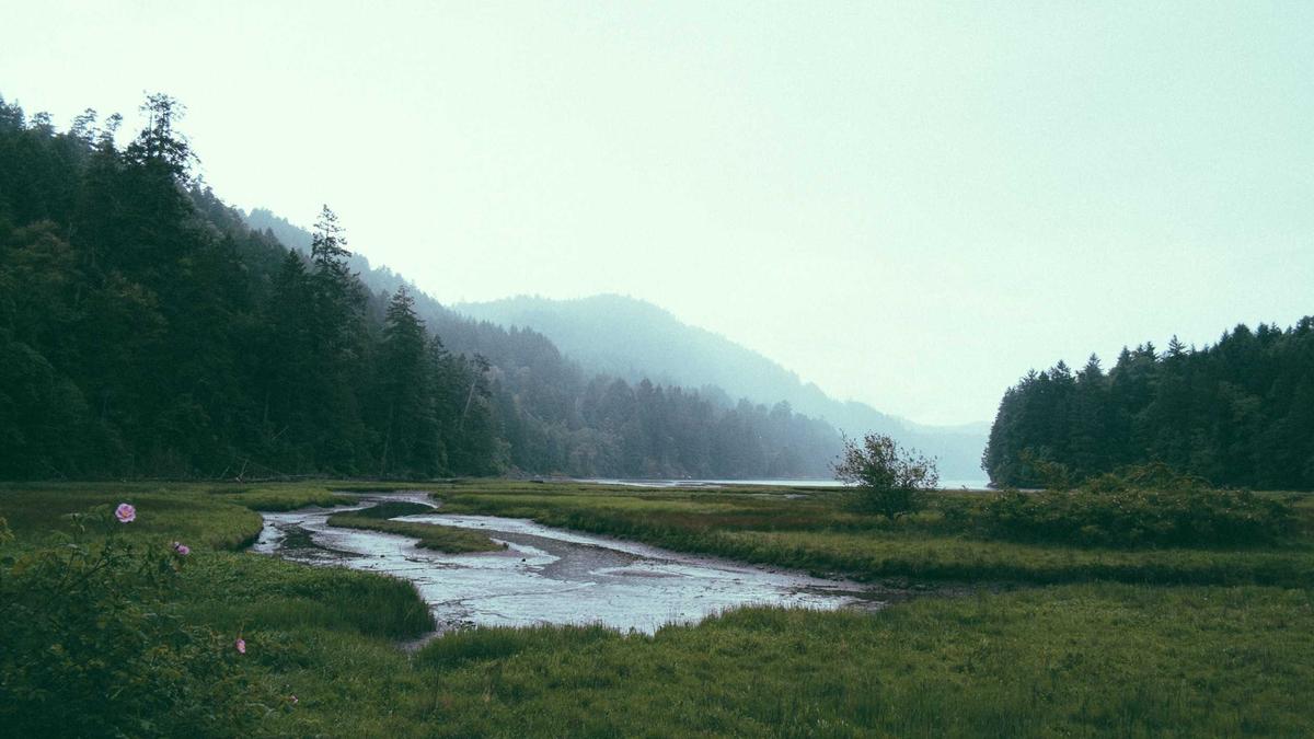 Detailansicht: Neue Geldscheine Schweiz