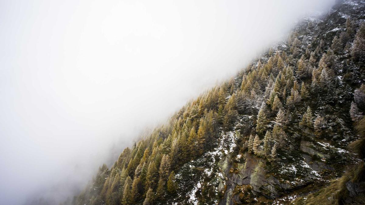 Detailansicht: Neutralität Schweiz Sanktionen