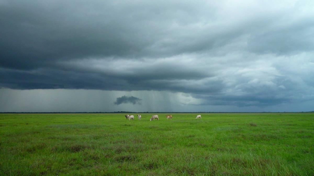 Symbolbild zum Thema Olympia Snowboard