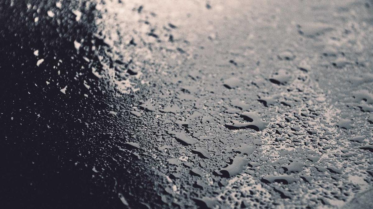 Detailansicht: Orf Beitrag