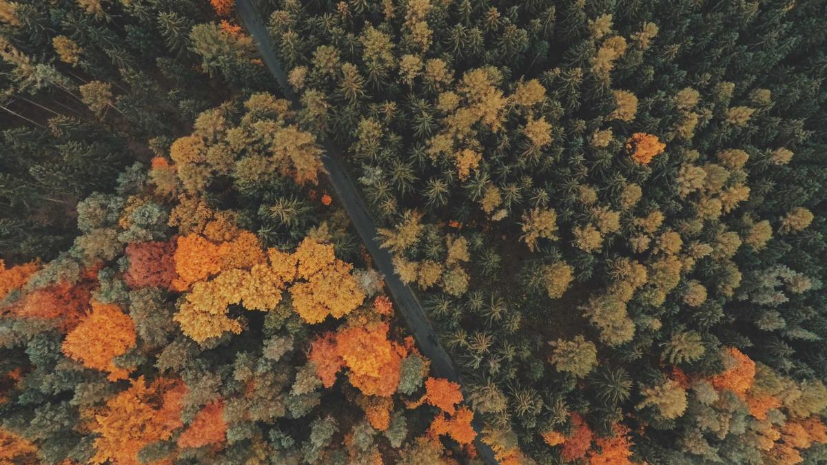 Detailansicht: Paluten Einkommen