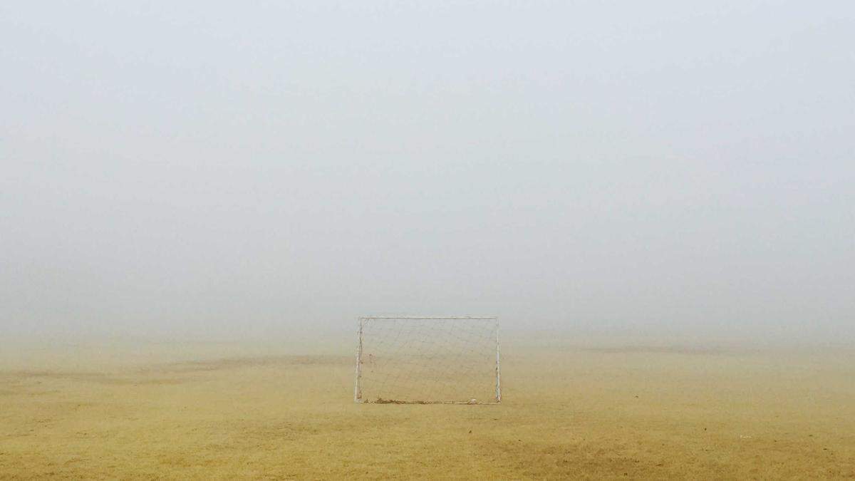 Papageien Sterben Feuerlöscher Detailansicht: Papageien Sterben Feuerlöscher