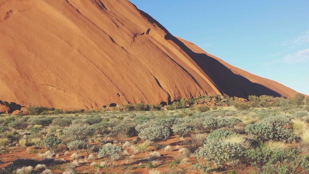 Detailansicht: Peter Maria Schnurr