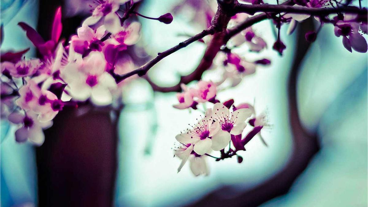 Detailansicht: Peter Resinger