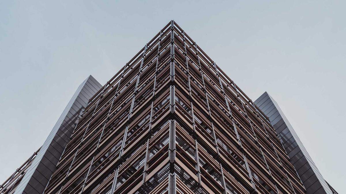 Symbolbild zum Thema Pinguin Instagram Trend