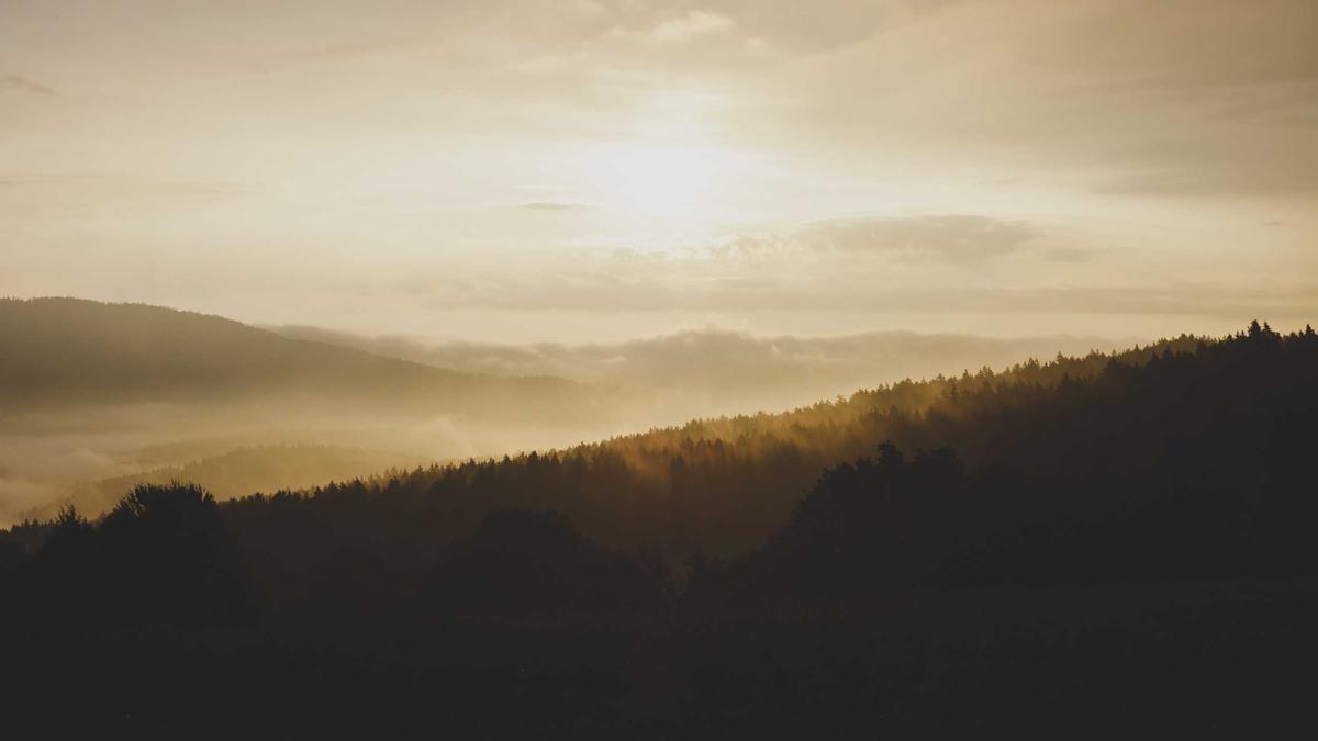 PKW Brand A27 Detailansicht: PKW Brand A27