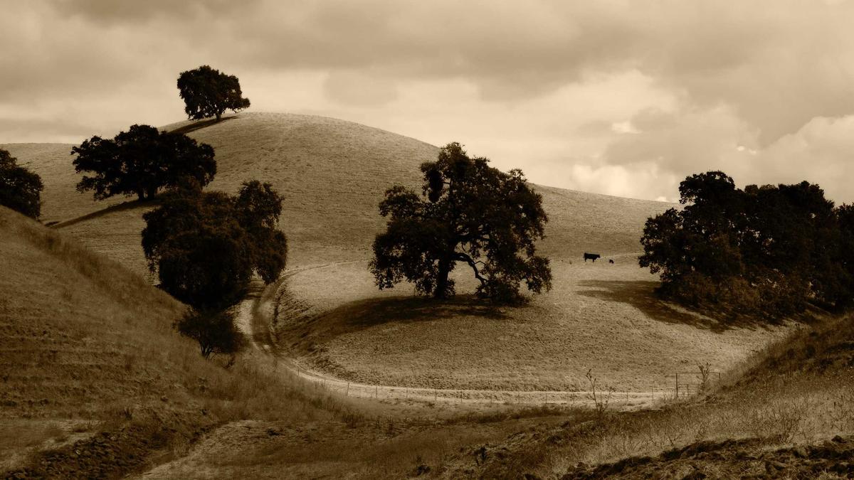 Illustration zu Polizei Oldenburg Sexualdelikt