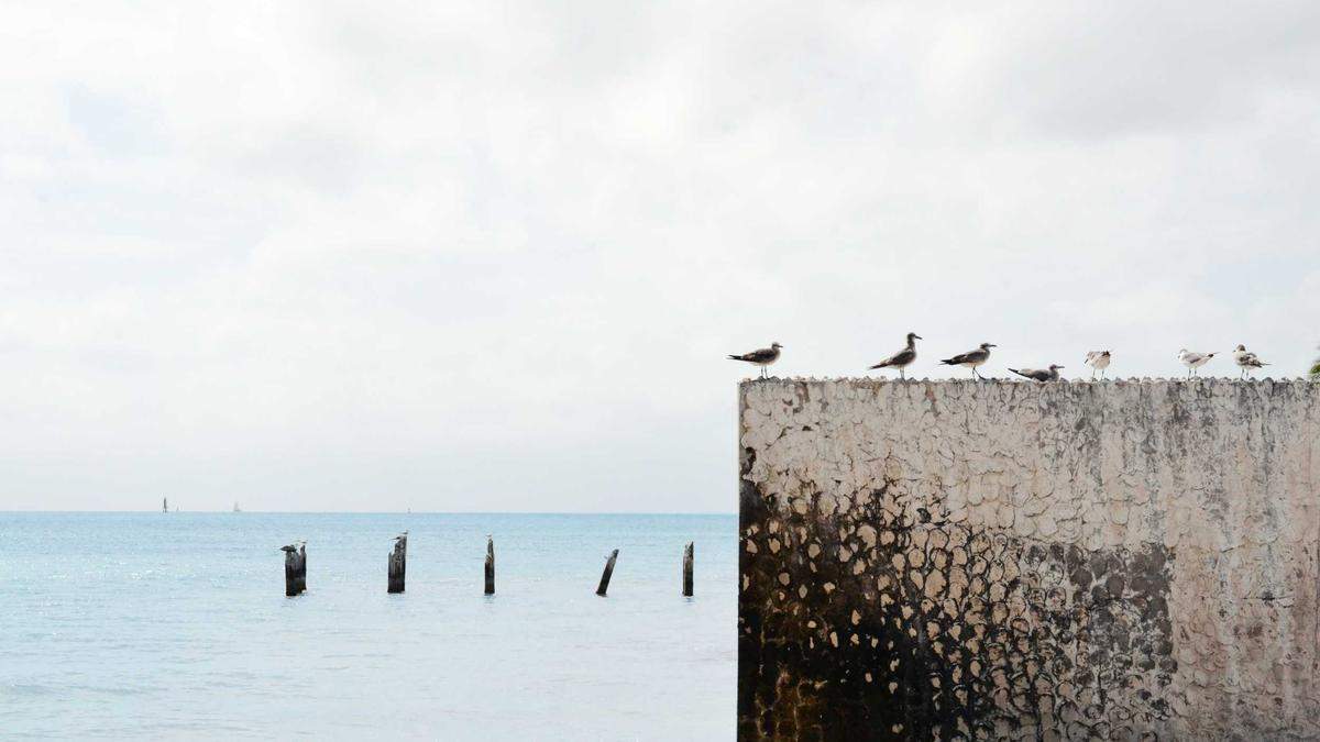 Detailansicht: Polizeieinsatz Hildesheim