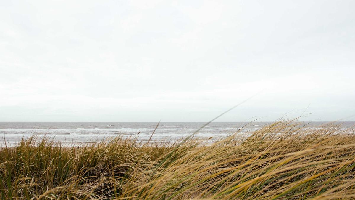 Detailansicht: Remo Klinger Klimaklage