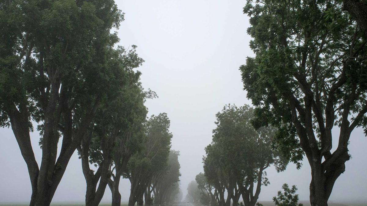 Detailansicht: Sachbeschädigung Schleiz