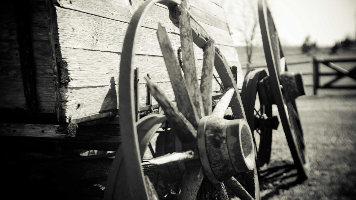 Detailansicht: Said El Mala