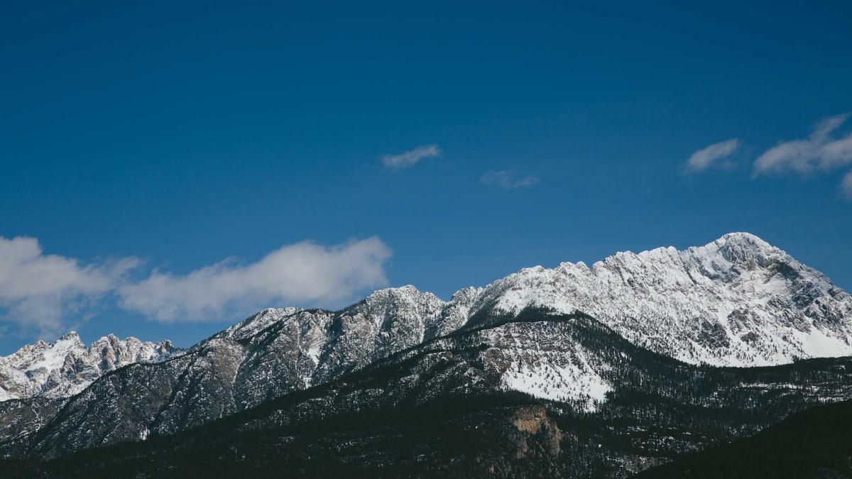 Illustration zu Schalke Ultras Anzeige