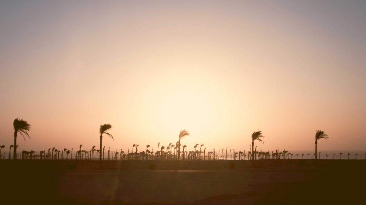 Symbolbild zum Thema Scherzanruf Polizei Strafe