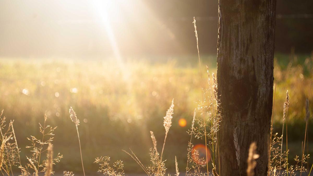 Symbolbild zum Thema Schlägerei Altenburg