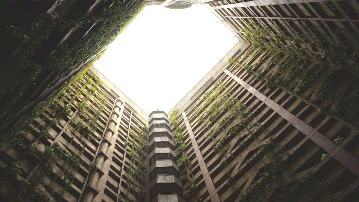 Illustration zu Skeleton Damen Olympia