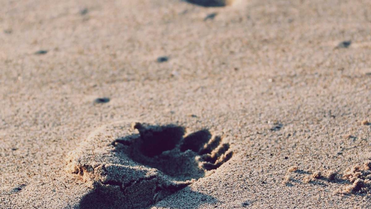 Detailansicht: Social Media Verbot