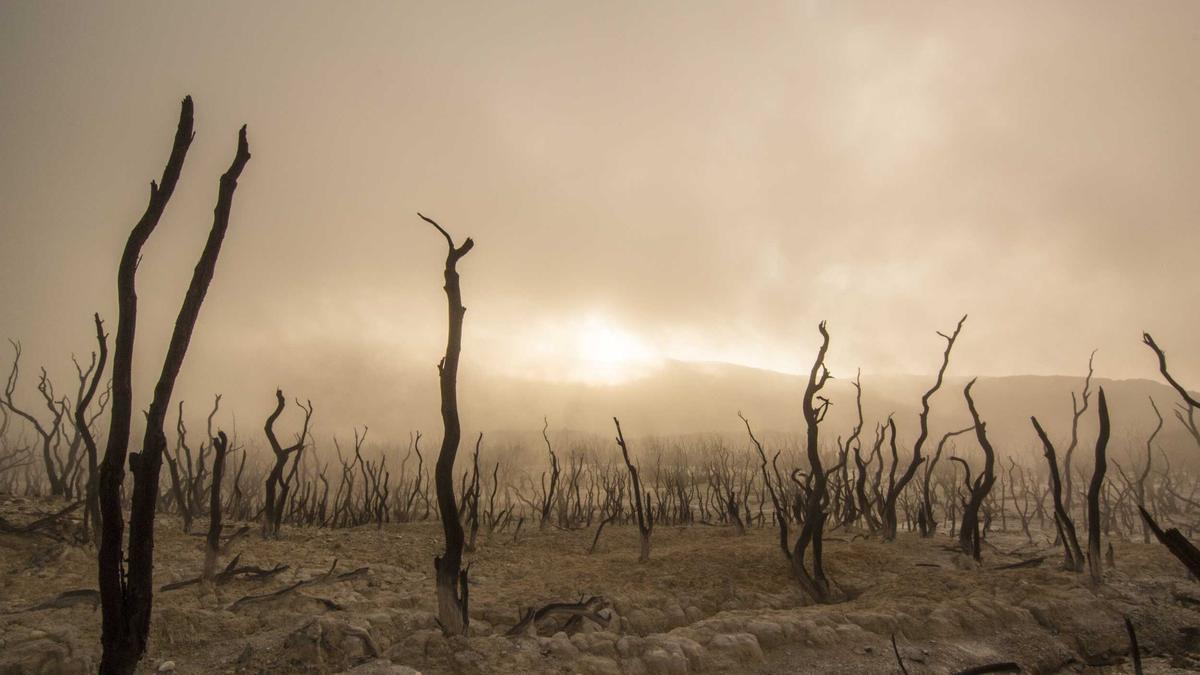 Illustration zu Solarpark Einbruch