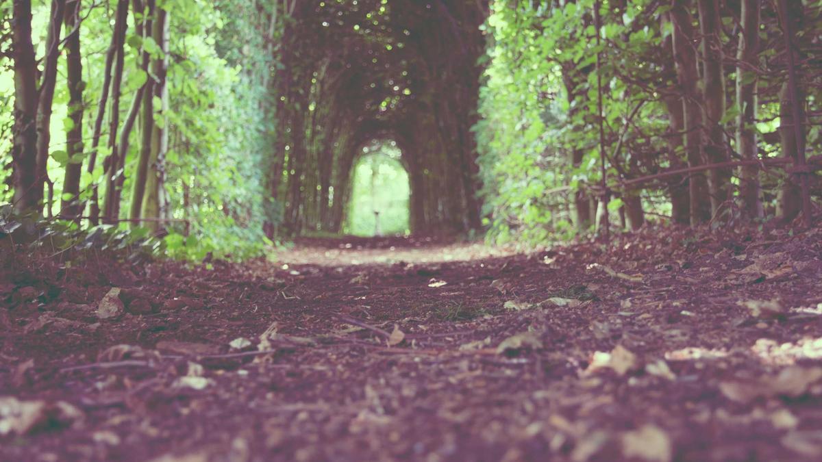 Detailansicht: Sparkasse Gelsenkirchen Entschädigung