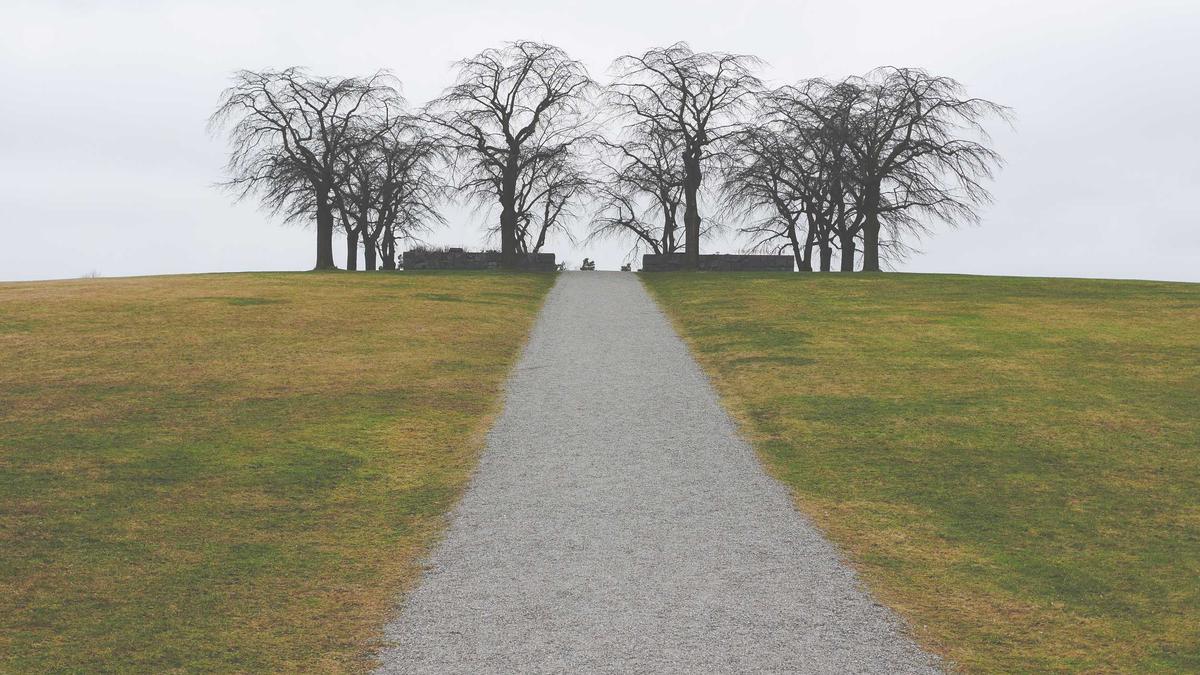 Symbolbild zum Thema Spö Parteitag