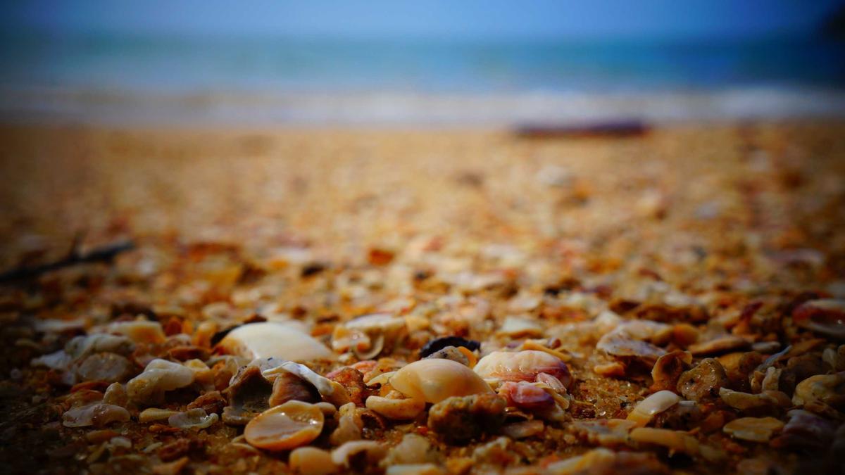 Symbolbild zum Thema Star Trek Starfleet Academy