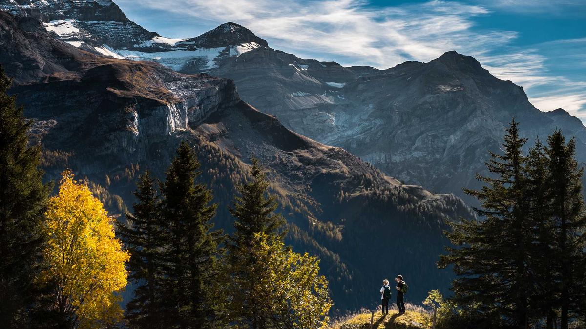 Stars Auf Instagram Detailansicht: Stars Auf Instagram