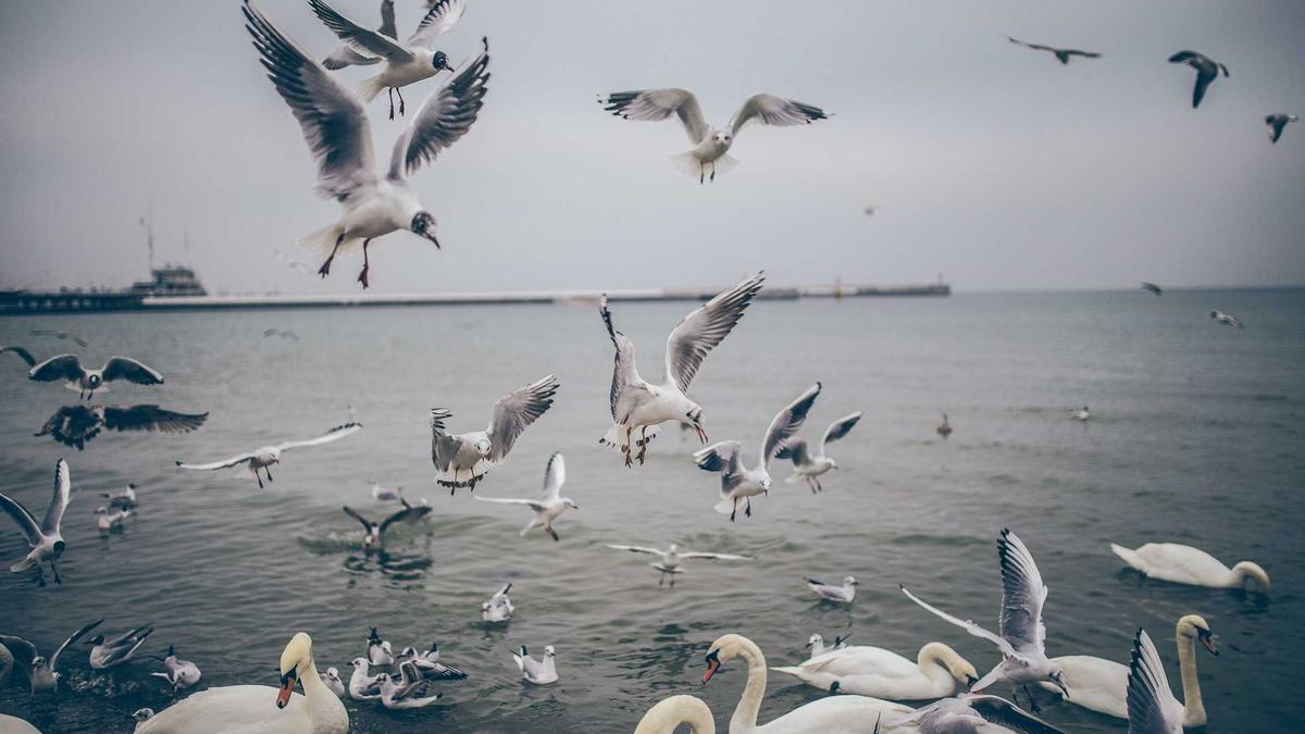 Illustration zu Tankstelle Florida Axt