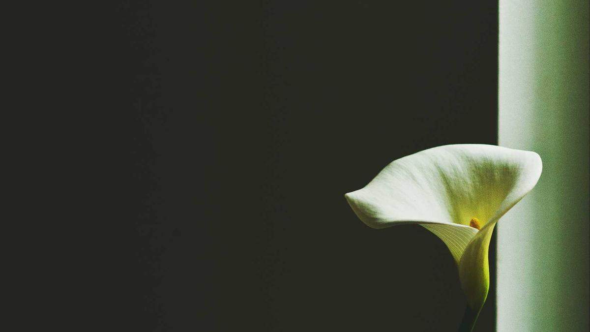 Illustration zu Taschendiebstahl Zug