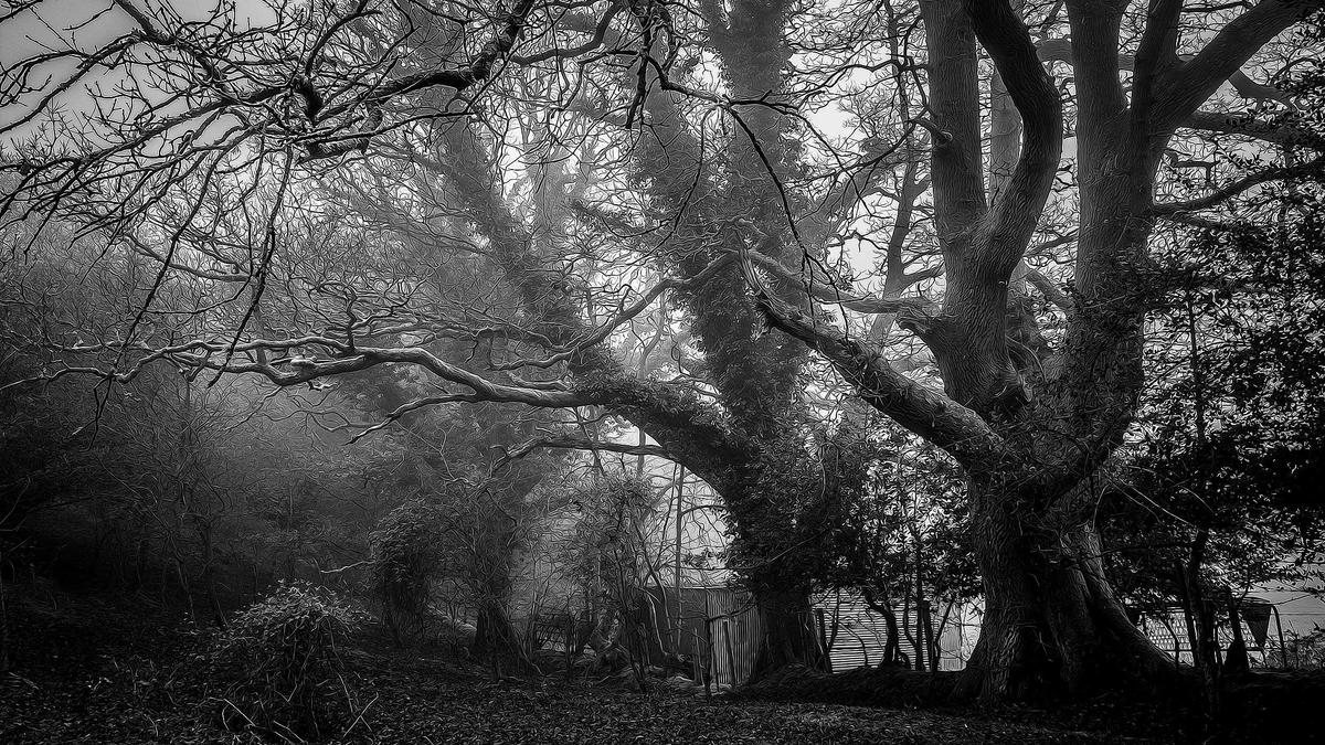 Tatort Frankfurt Fackel Illustration zu Tatort Frankfurt Fackel