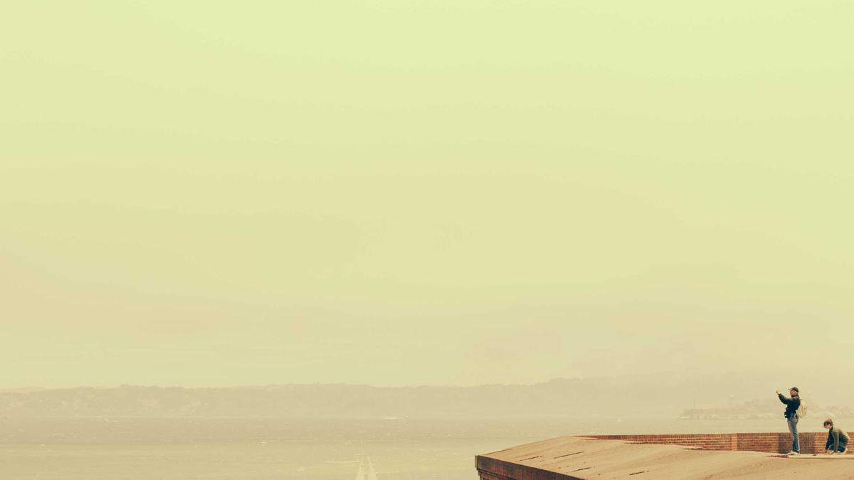 Temu China Geschäft Detailansicht: Temu China Geschäft