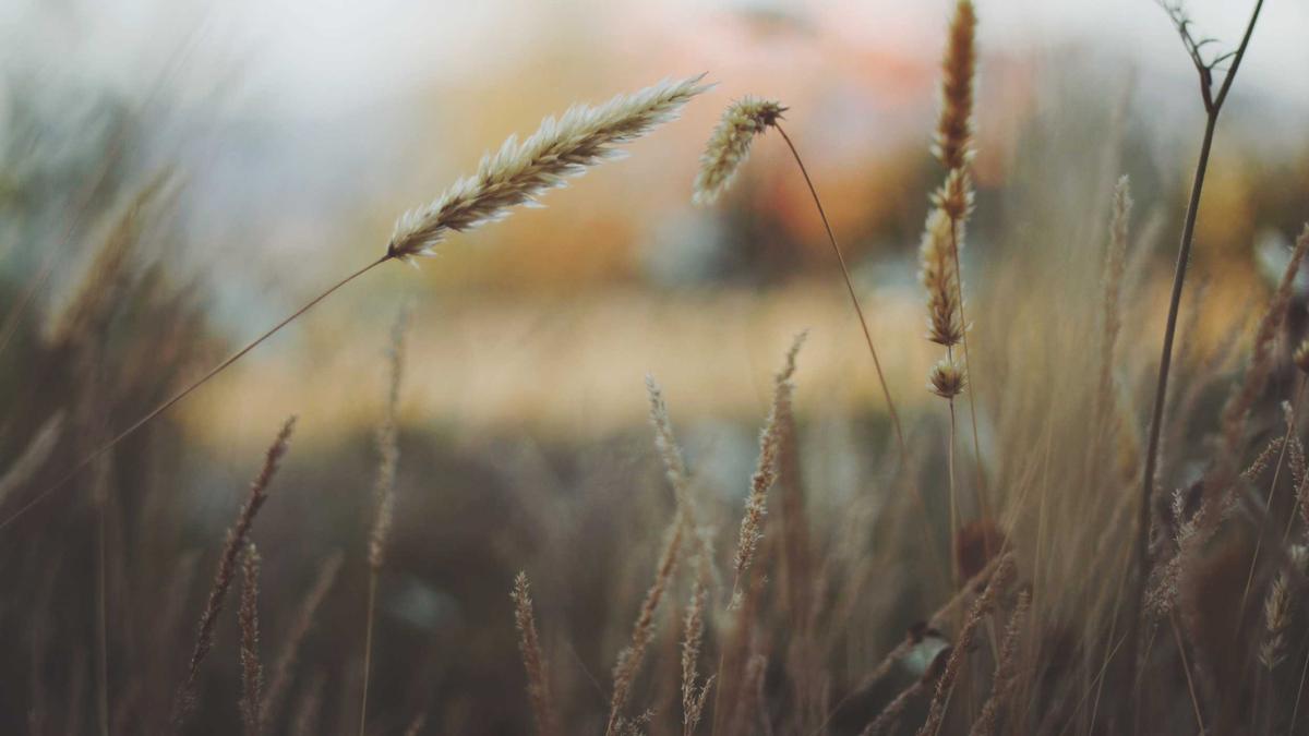 Terrasse Brand Diepholz Symbolbild zum Thema Terrasse Brand Diepholz