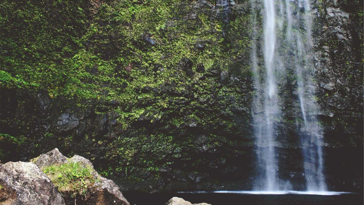 Illustration zu The Holy Boy Film