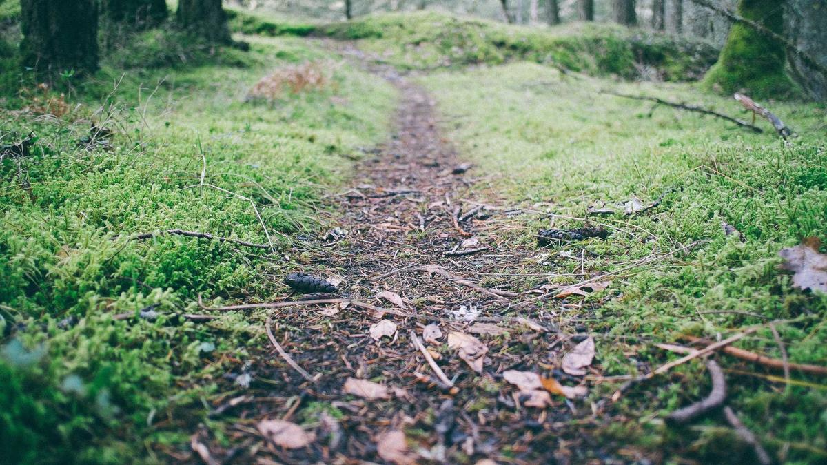 Detailansicht: Trunkenheitsfahrt Schwerin