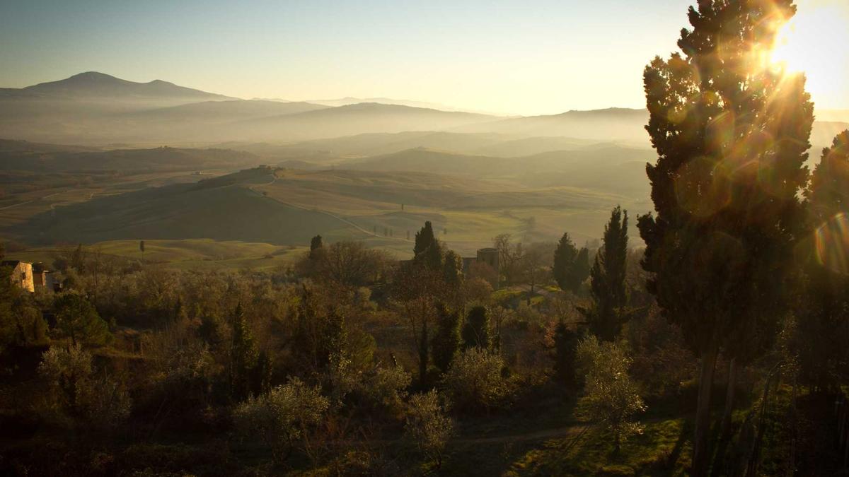 Detailansicht: TV Programm Heute