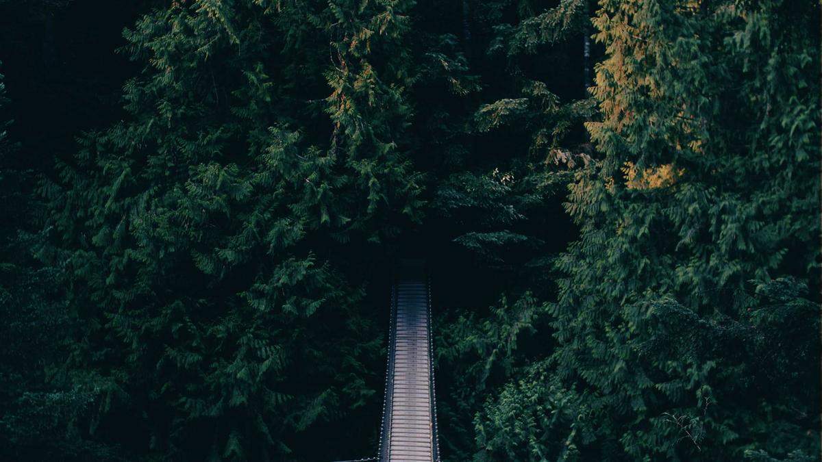 Symbolbild zum Thema übergriffe Zugbegleiter