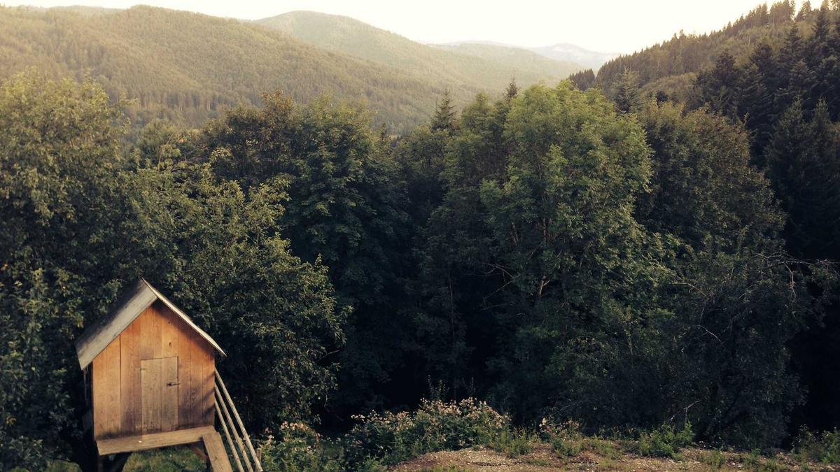 Illustration zu Unerlaubtes Glücksspiel Hamburg