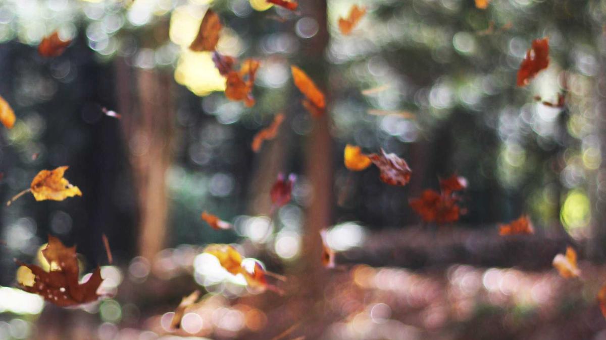 Unfälle Bundesstraße 196