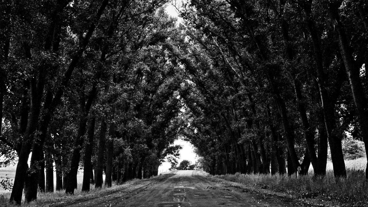 Unfall A1 Zürich Illustration zu Unfall A1 Zürich