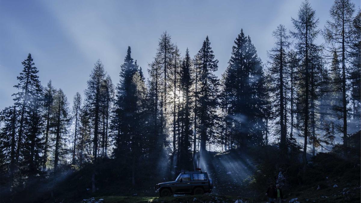 Symbolbild zum Thema Unfallflucht Fahrrad