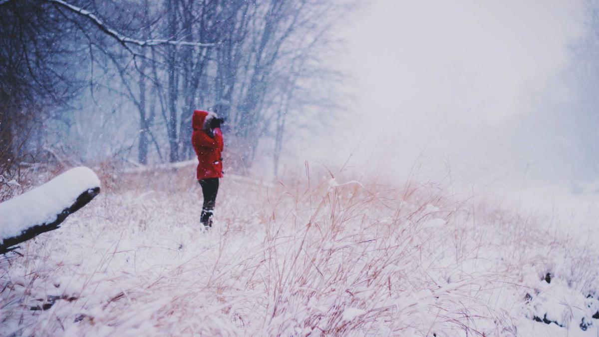 Detailansicht: Verkehrskontrolle Hamburg