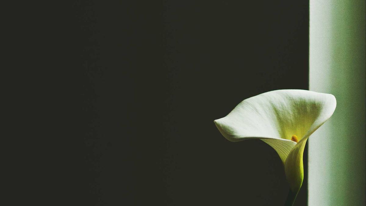 Symbolbild zum Thema Verkehrsunfall Bad Gandersheim