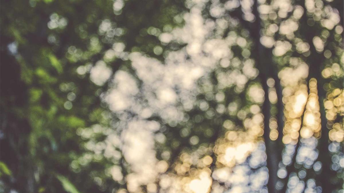 Detailansicht: Verkehrsunfall Bockel