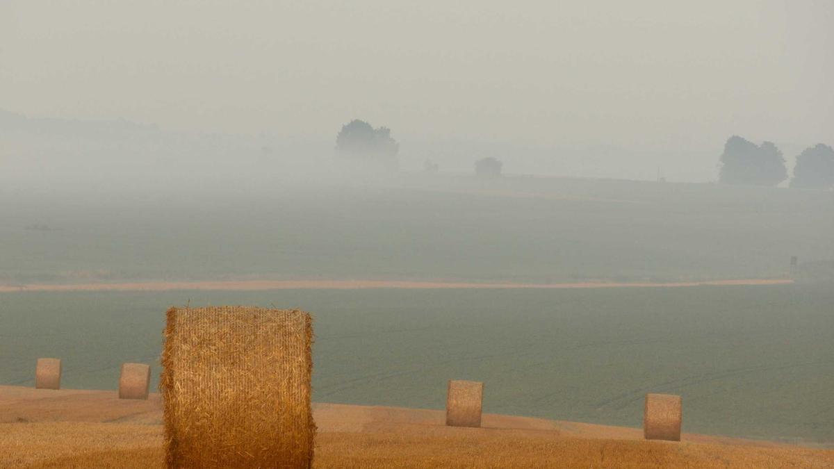 Illustration zu Verkehrsunfall Nordhausen