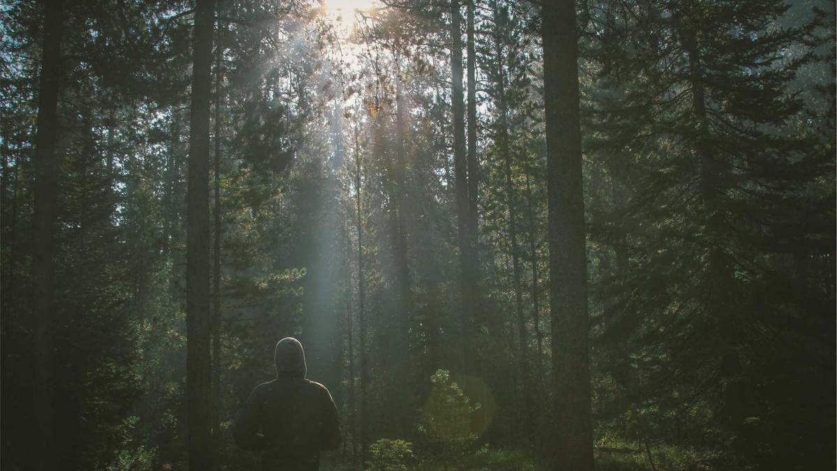 Verkehrsunfallflucht Barßel Detailansicht: Verkehrsunfallflucht Barßel