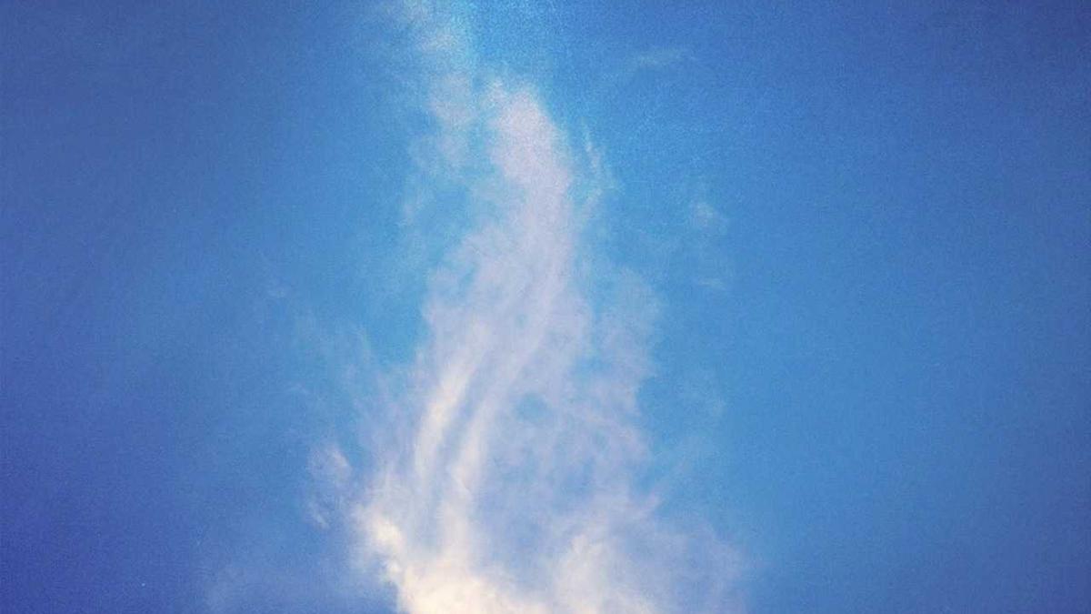 Verkehrsunfallflucht Meppen