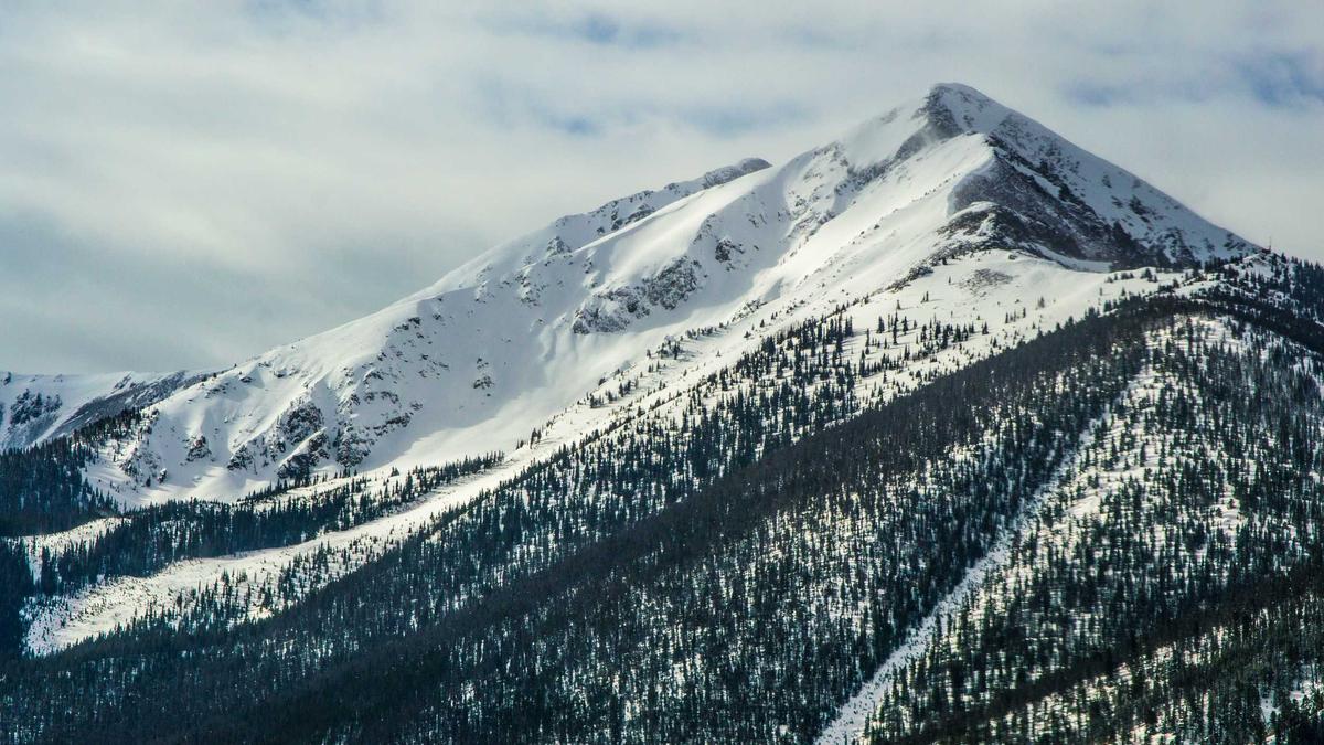 Detailansicht: Vermisste Person Greiz