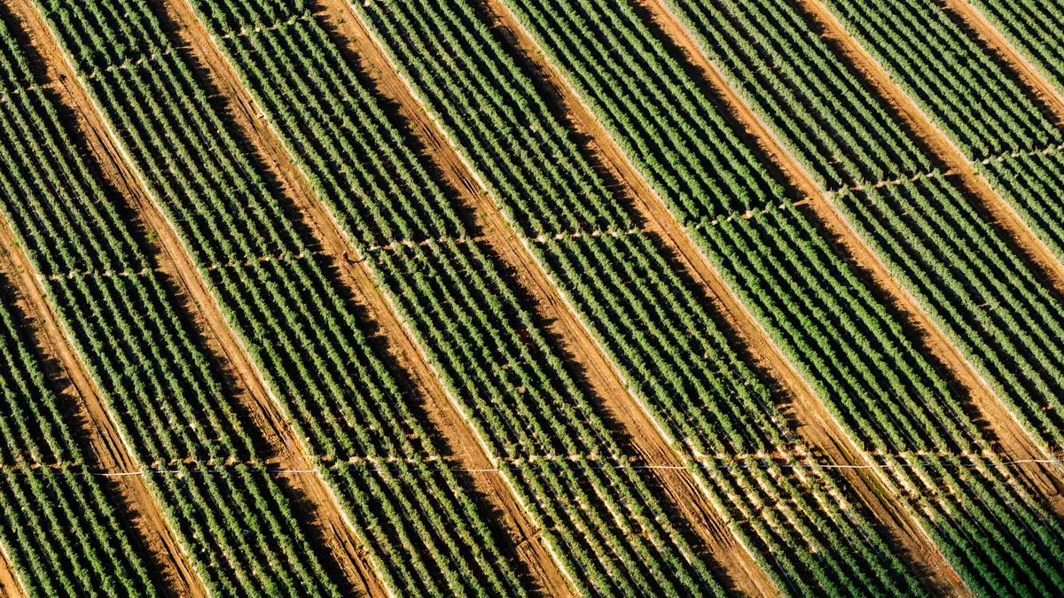 Detailansicht: Vermögensverteilung Frauen