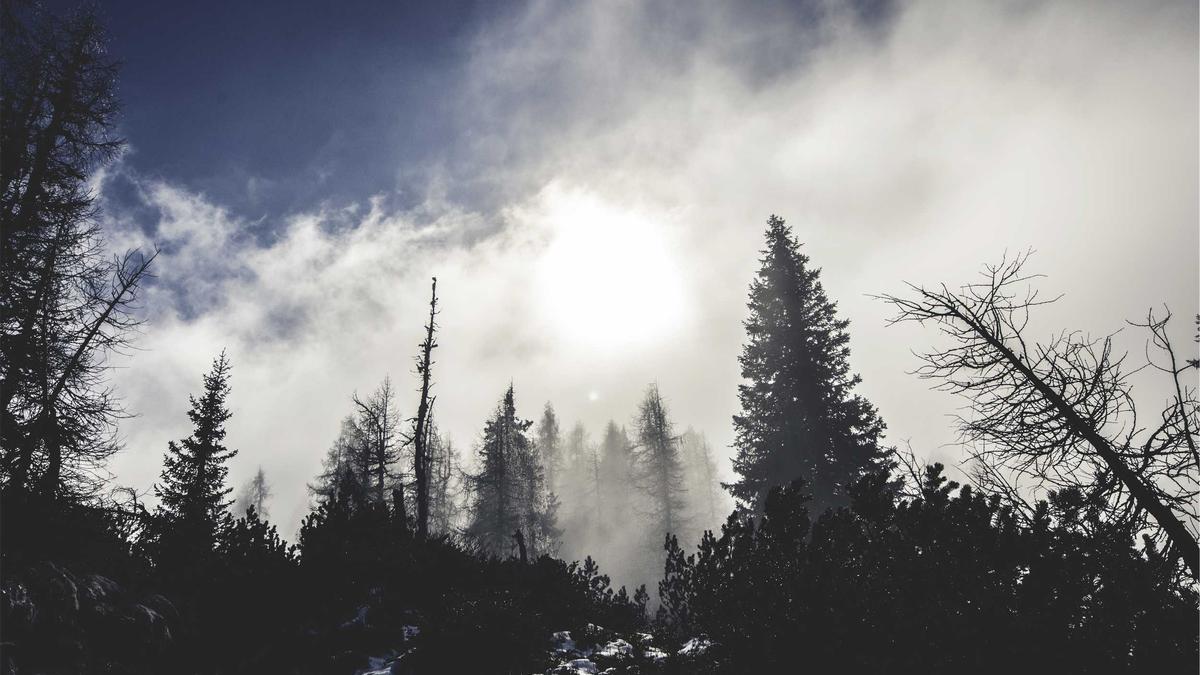 Illustration zu Versuchte Sprengung Zigarettenautomat