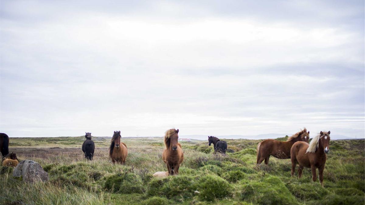 Symbolbild zum Thema VFB Frauen Rekord