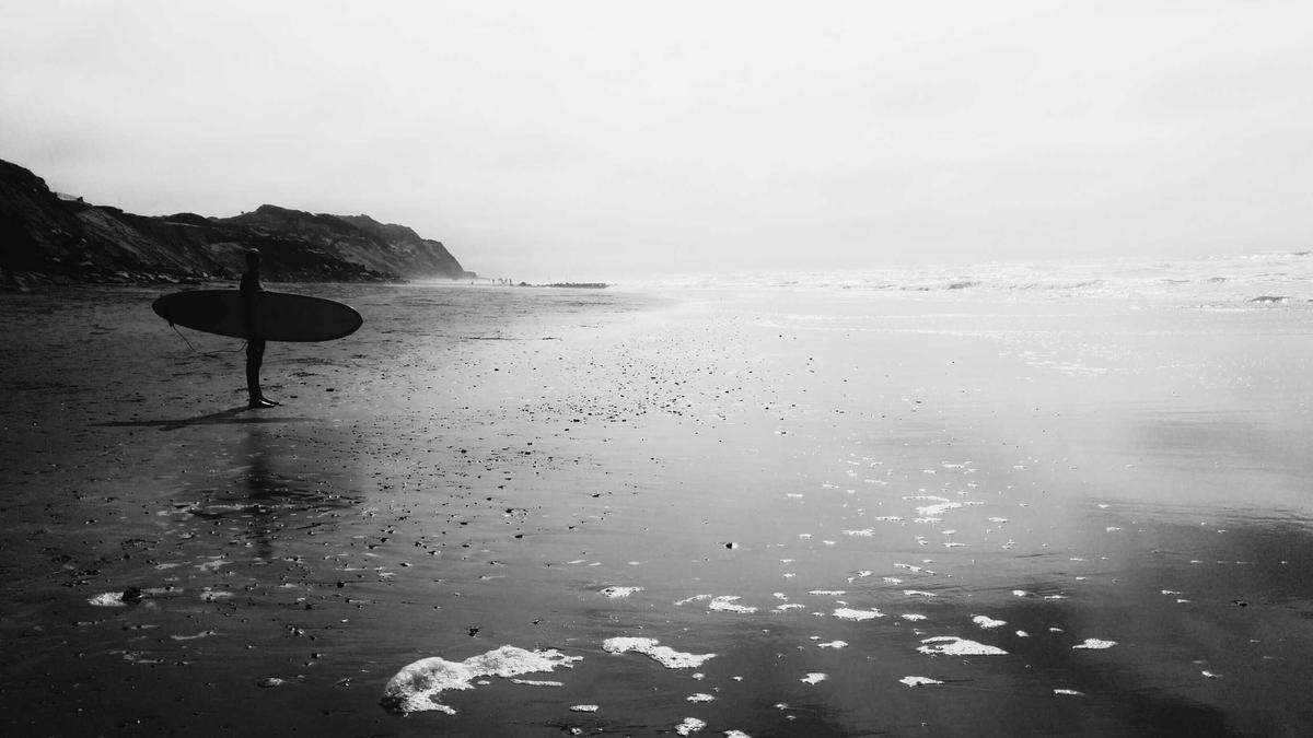 Detailansicht: Wal Ostsee Gestrandet